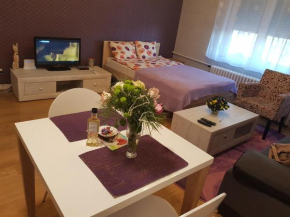 SARA - Modern apartment in the city center
